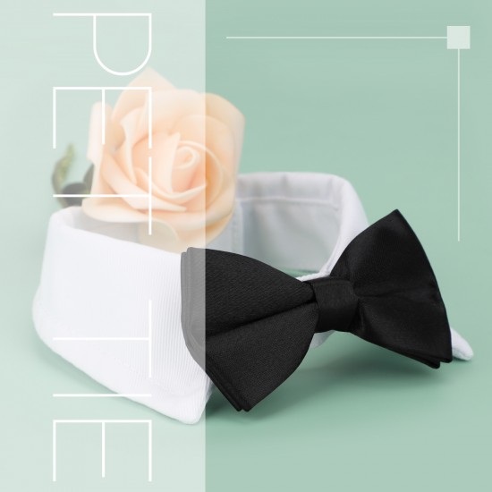 dog bow tie tuxedo collar