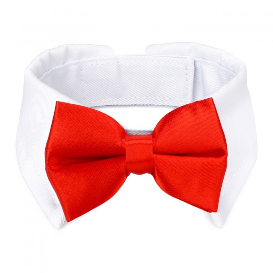 red bow tie collar