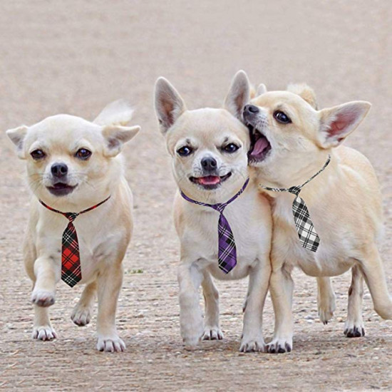 dog grooming ties